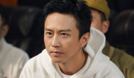 娱乐大爆料王子奇,揭秘明星幕后故事